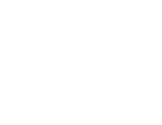 ems GROUP