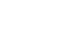 VISHAY